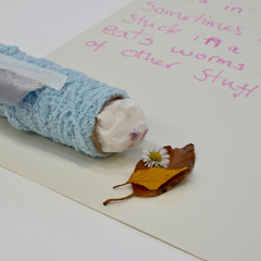 World Beneath The Water - Stretham Community Primary School