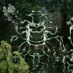 TRNMIX028: Jan Swam