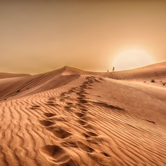 Sands of Emotion