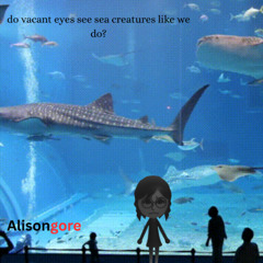 do vacant eyes see sea creatures like we do?