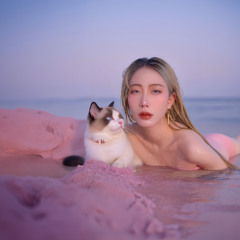Elafonissi Cat