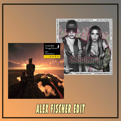 Vintage Culture, Themba, Franky Wah X Shakira - Alive X Bakarrap (Alex Fischer Bootleg)