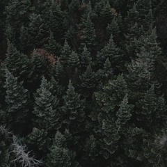 trees