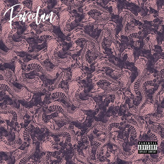 Porcelan - Snake