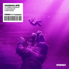 DJ Tomer & Ricardo x Demzabeats & Mentmusik - Voodoo Life
