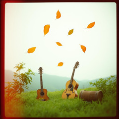 Hands That Pick the Leaves (Tangan Petani Daun Harapan)