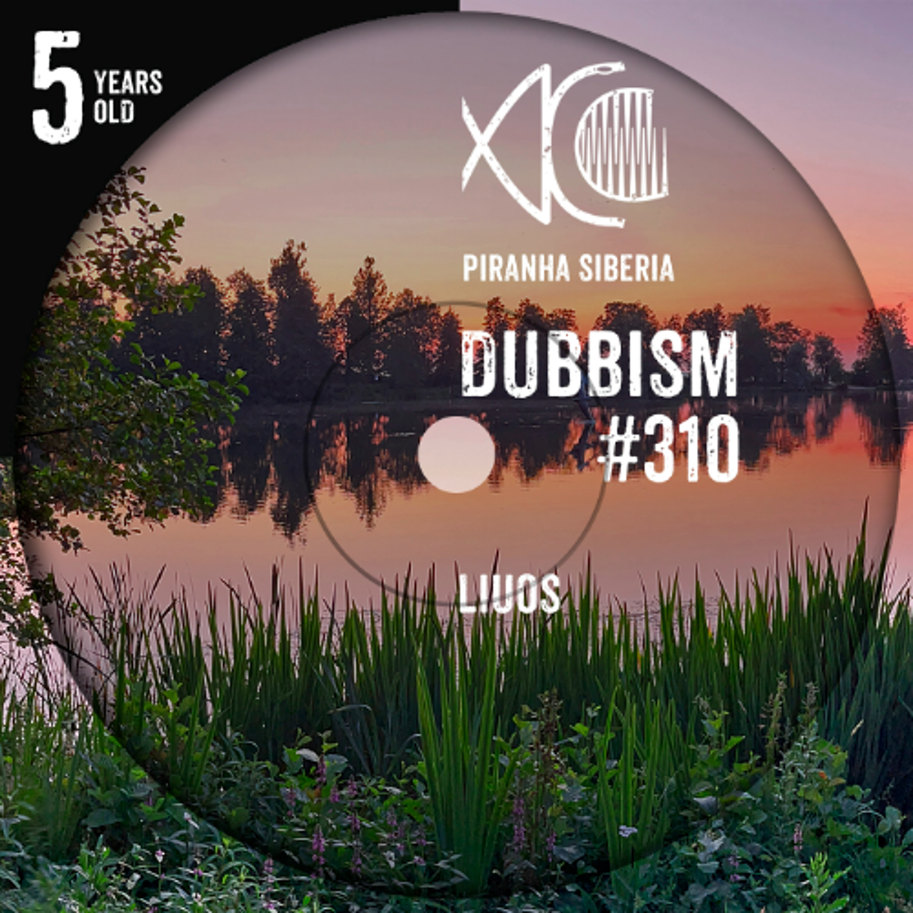 DUBBISM 5YO #310 - Liuos episode artwork