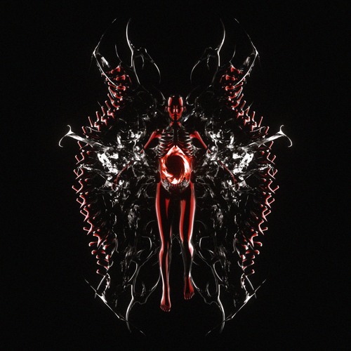 KEPLER - YKMN (Clip)