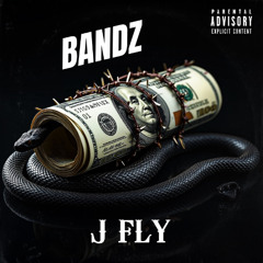 J FLY - BANDZ (FREESTYLE)