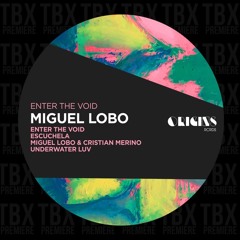 Premiere: Miguel Lobo - Enter The Void [ORIGINS RCRDS]
