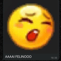 ain felino