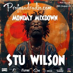 #199 Profound Radio  House  @djstuwilson