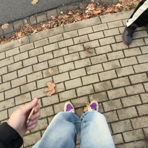 noTtiS P4tTerN ?! [180] {TotalIllegal | MiezRecords}