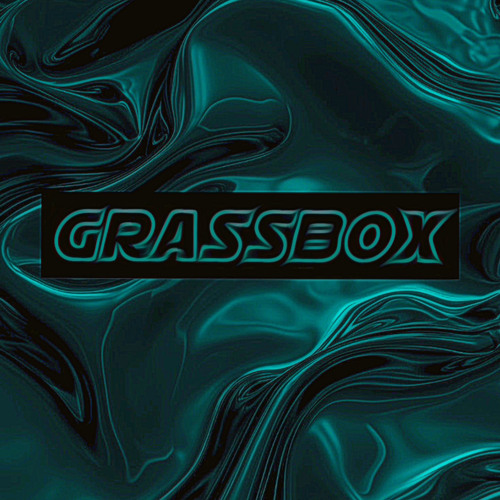 Kalt in der Hood (GRASSBOX LIVE TECHNO EDIT)