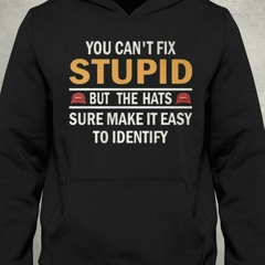 You Can’t Fix Stupid But The Hats Sure Make It Easy To Identify T-Shirt