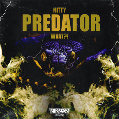 NITTY - WHAT?! [FREE DOWNLOAD]