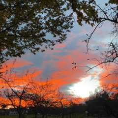 Bonne Sentiment | 150 BPM