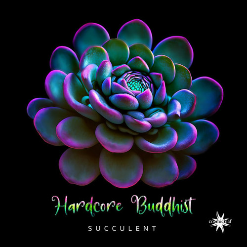 Hardcore Buddhist & Imagination project - Time (Live Version)