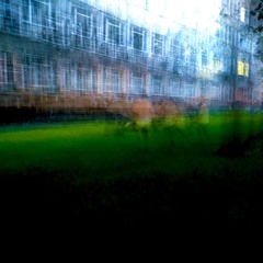 hopeful dusk