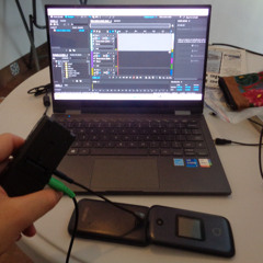 Voces al Aire...Libre "Señales de Humo...Despachando"