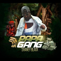 Papa Gang (feat. Calvin goodheart)