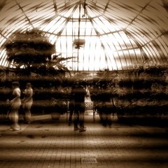 B2 - DonnaMaya: Belle Isle