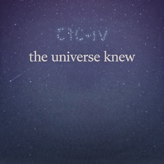 The Universe Knew