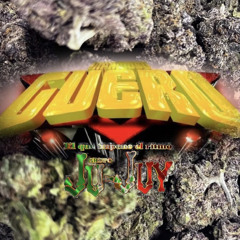 “La Cumbia En Las Nubes” Grupo JuJuy 2023 Sonido Twist