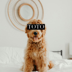 Toto