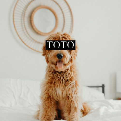 Toto