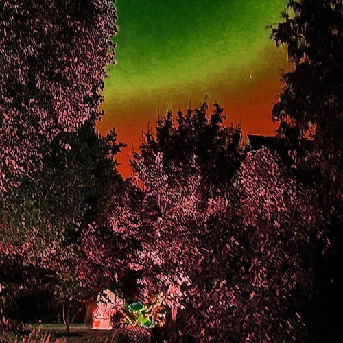 Luv Fa Shrooms (Prod. Tofr)