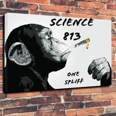 One Spliff 7/15/22 Science813 Original track