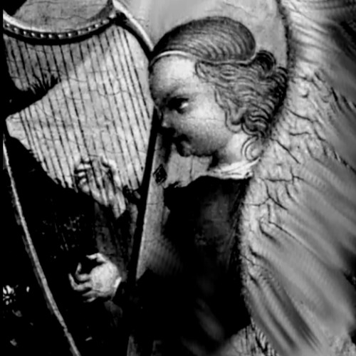 the harp player-naviarhaiku618