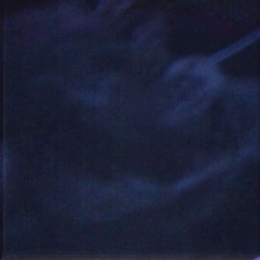 Think To Yourself (Prod.canismajor)