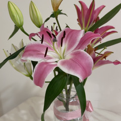 Umar%20Zahir%20-%20Khiyaalugaa%20vee%27ey%20vaudhaa