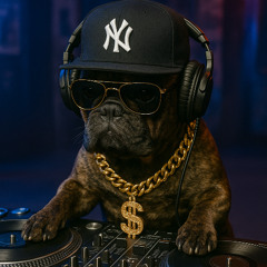 House Meets Hip-Hop Vol. 1