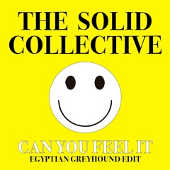 The Solid Collective - Can You Feel It (Egyptian Greyhound Edit)