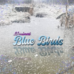 Blue Birds