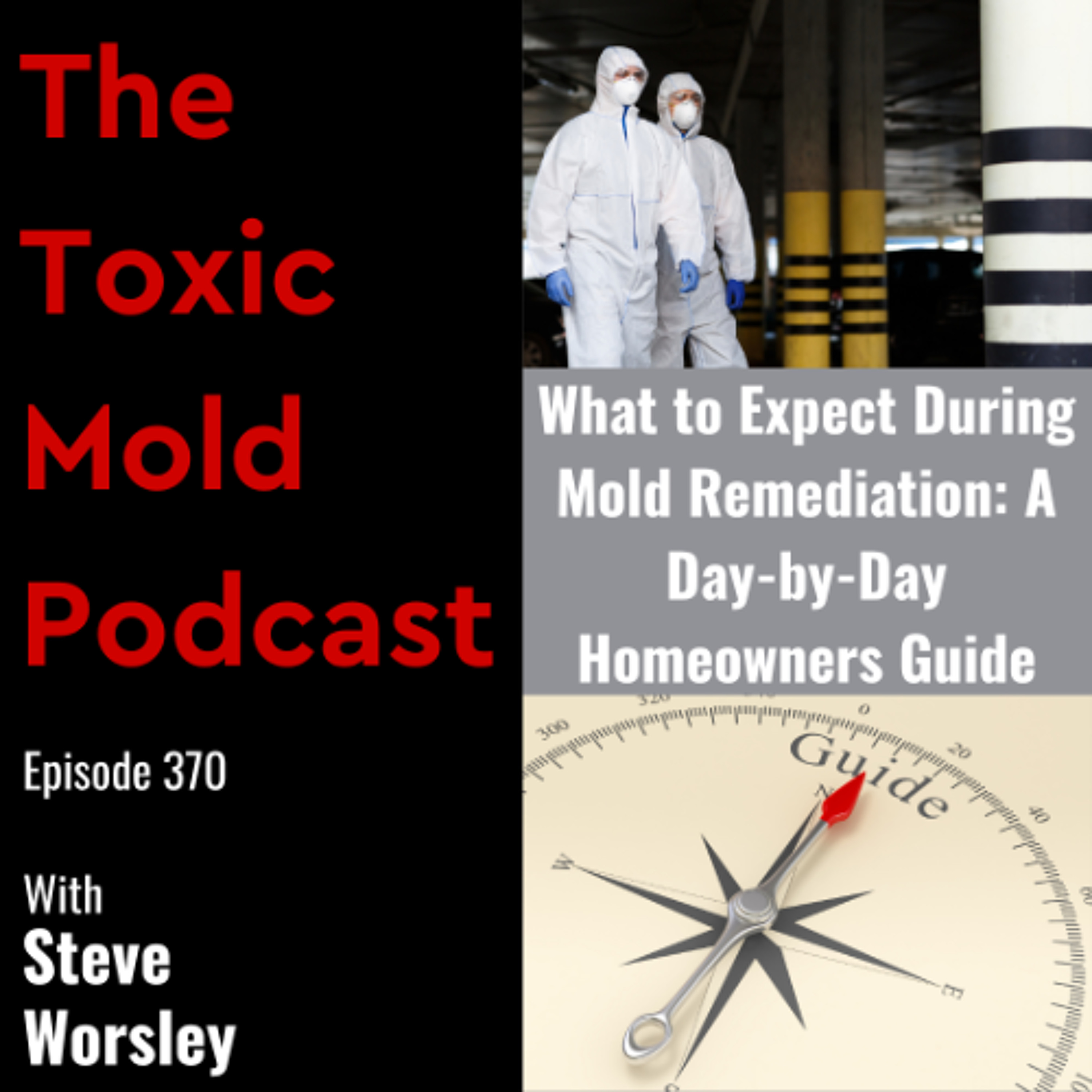 EP 370: What to Expect During Mold Remediation: A Day-to-Day Homeowners Guide episode artwork