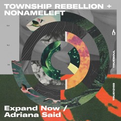 Premiere : Township Rebellion & NoNameLeft - Adriana Said | Truesoul