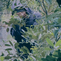 Stream RAVEN MIYAGI-RUBEN SLIKK X DENZEL CURRY X SPACEGHOSTPURRP