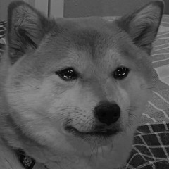 Winter Aid - The Wisp Sings (Slowed Down)