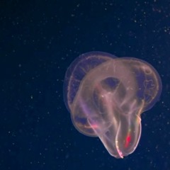 everything's going to shift so fast, i just know it