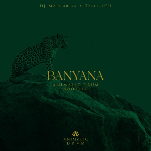 Dj Maphorisa - Banyana (Animalic Drum Remix)