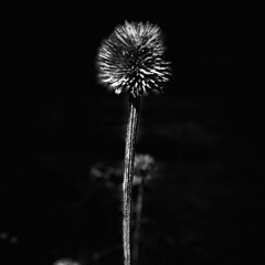 Awakening: return to source