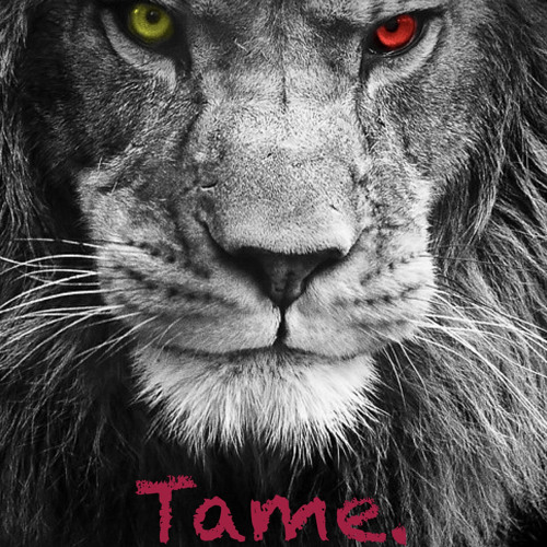 Bebito - Tame.