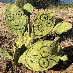 live session at Nosaltres Fest Mataró 27/07/2023