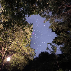 Moonlight (Feat. PUBLIQ) - Lotus love