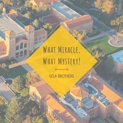 What Miracle! What Mystery! (Version 2)
