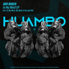 Javi Bosch - In My Mind (Fun Mix)